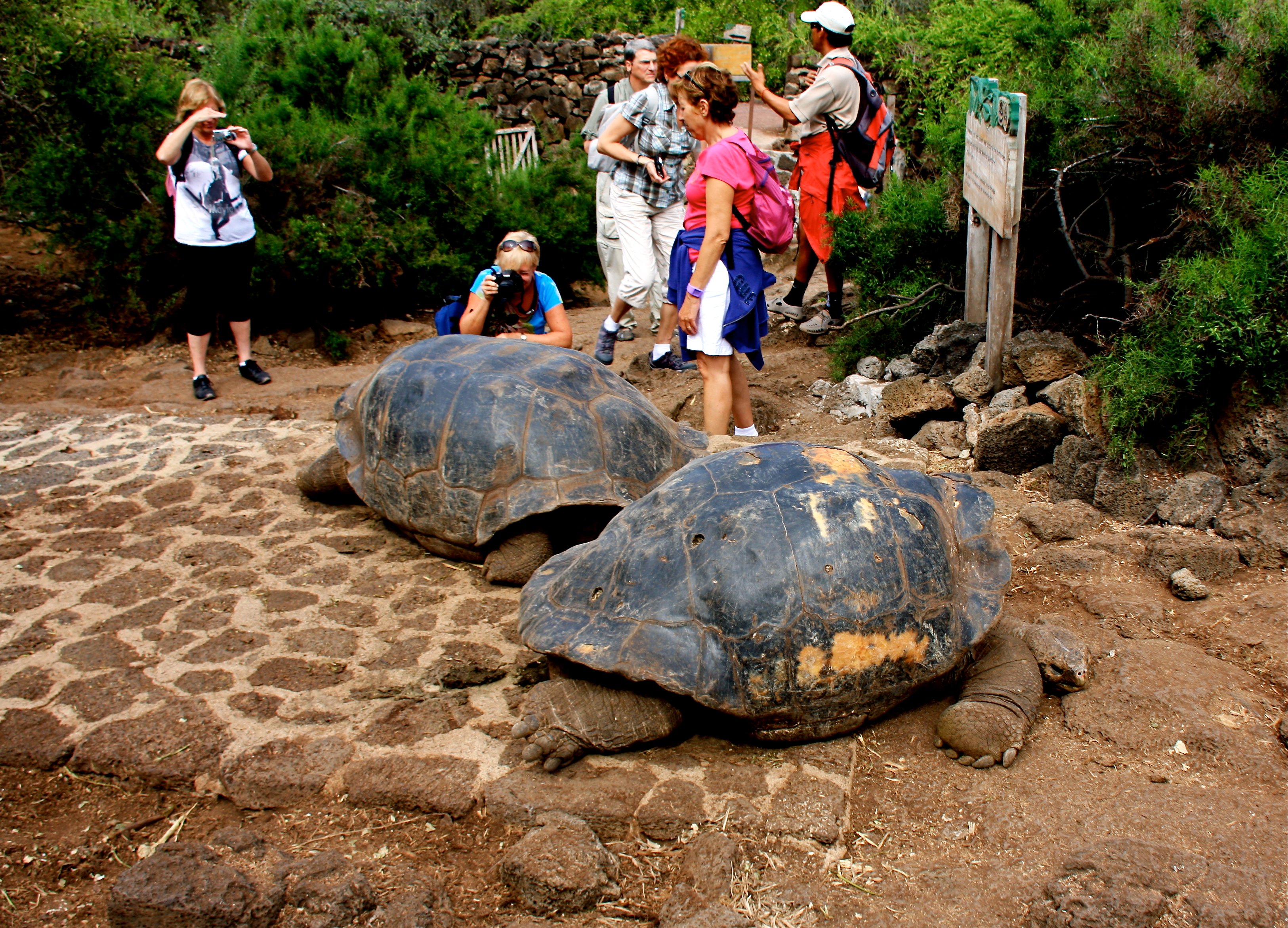 parc-national-galapagos