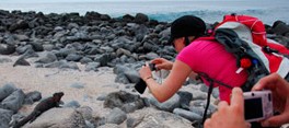 visiting-galapagos-intro visiting-galapagos-intro