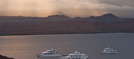 Galapagos Fuel Surcharge Galapagos Islands Fuel Surcharge