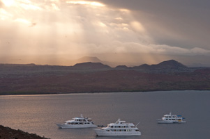 Galapagos Islands Cruises Galapagos Islands Cruises