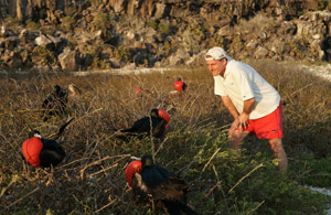 Galapagos Islands Best Time Galapagos Islands Best Time