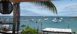 Galapagos Islands Cruises & Hotel-based Tours Galapagos Islands Cruises & Hotel-based Tours