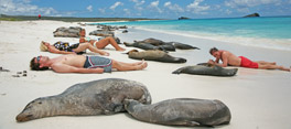 Galapagos Islands Good Deals Galapagos Islands Good Deals