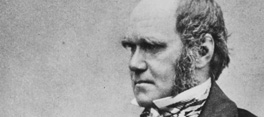 charles-darwin-photo charles-darwin-photo