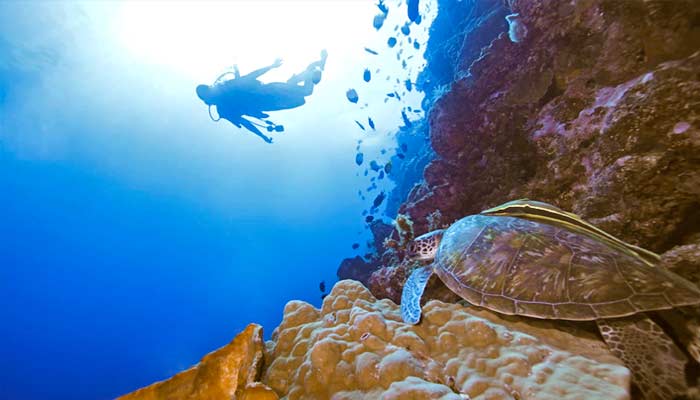 Interesting Facts About the Galapagos Islands | Galapagos Islands