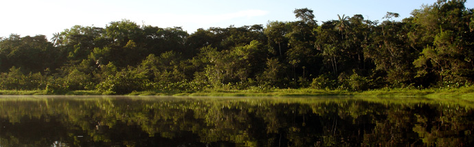 Ecuador Amazon
