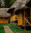 Amazon Dolphin Lodge