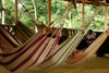 Amazon Dolphin Lodge