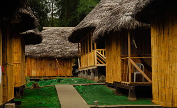Lodge Amazon Dolphin