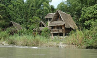 Amazon Jungle Ecuador