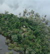 Cuyabeno Lodge