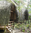 Hamadryade Lodge