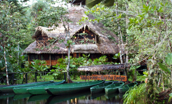 Sacha Lodge