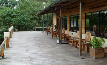 Wildsumaco Wildlife