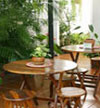 Tangara Guest House