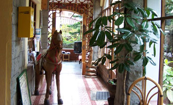 Isla Baños Hostel