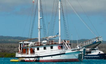 Angelique Motor Sailor