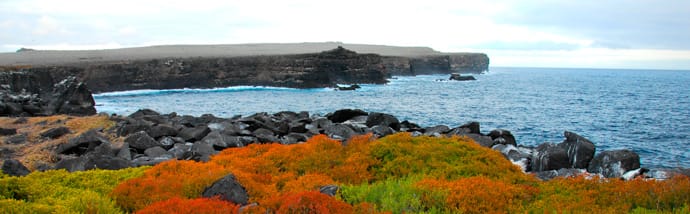 Galapagos Cruises Vacations