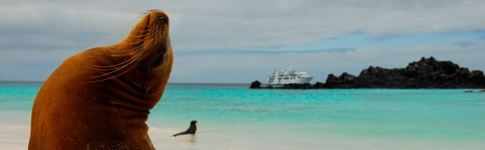 Galapagos Cruises Travel