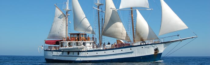 Galapagos Cruises Travel