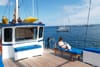 Velero a Motor Cachalote