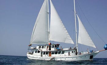 Cachalote Motor Sailour