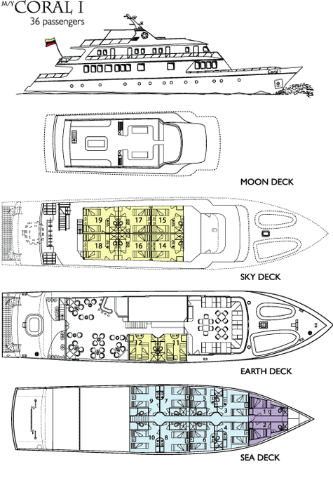 Coral I - Deck Plan