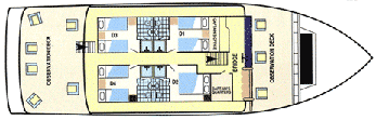 Eric, Letty, Flamingo Deckplan