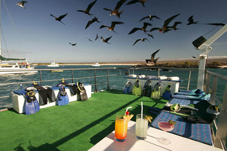 Floreana Sun Deck