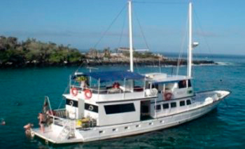 Golondrina Motor Sailor