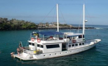 Golondrina Motor Sailor