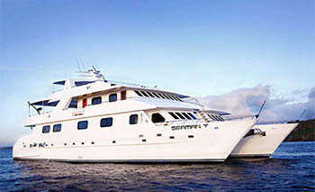 Seaman II Catamaran