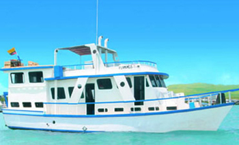 New Flamingo Yacht
