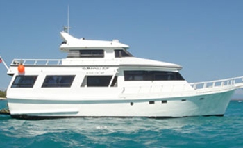 Rumba Yacht