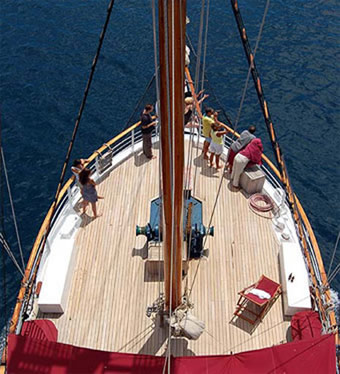 Sagitta Bow