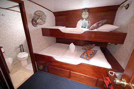 Sagitta Cabin