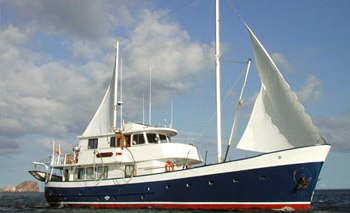 Samba Motor Sailor