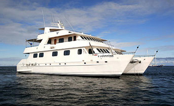 Seaman II Catamaran
