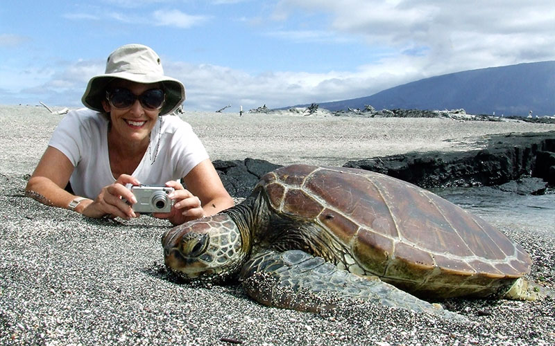 sea-turtle unique galapagos ecuador endemic vacation travel