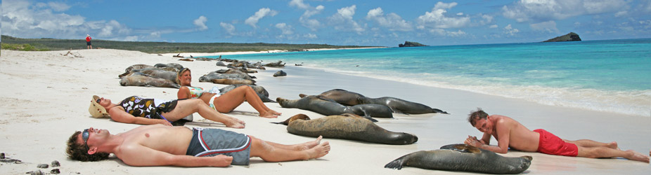 Reviews On Cruises To Galapagos Islands By National Reviews On Cruises To Galapagos Islands By National