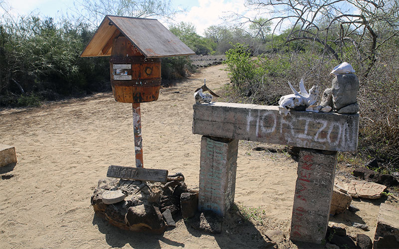 post office bay galapagos