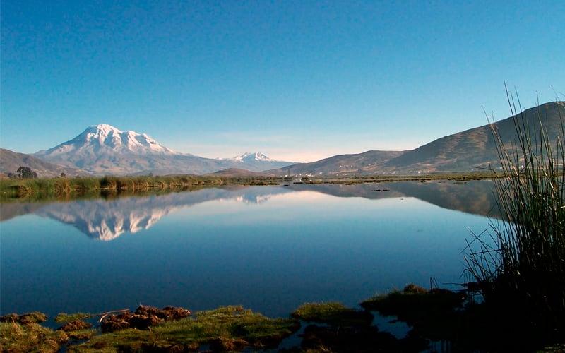 colta ecuador highlands