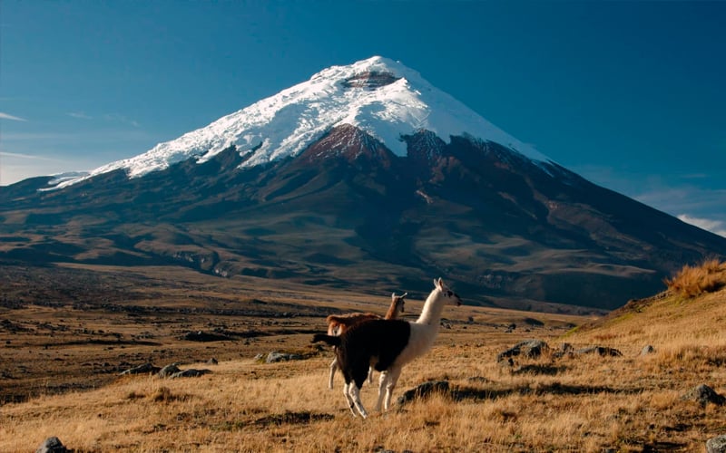 cotopaxi ecuador highlands