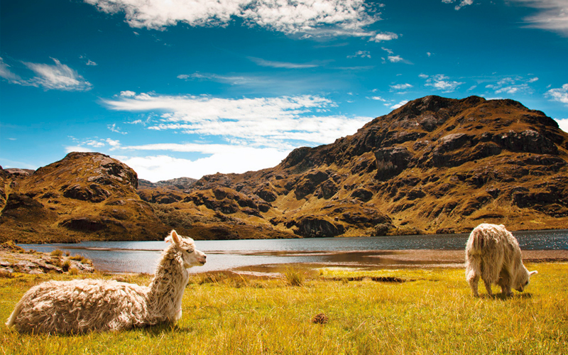 cuenca cajas ecuador highlands