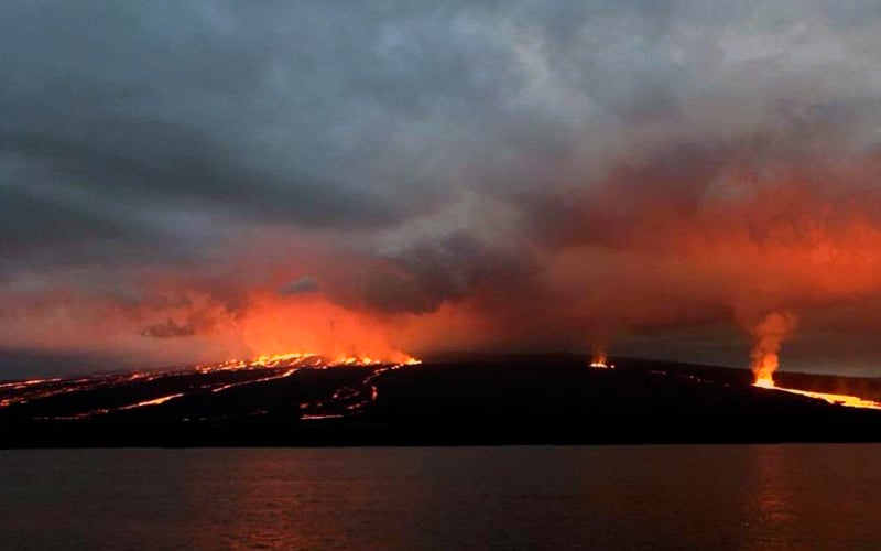 15 fascinating facts about galapagos fernandina