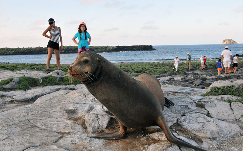 Facts About Galápagos