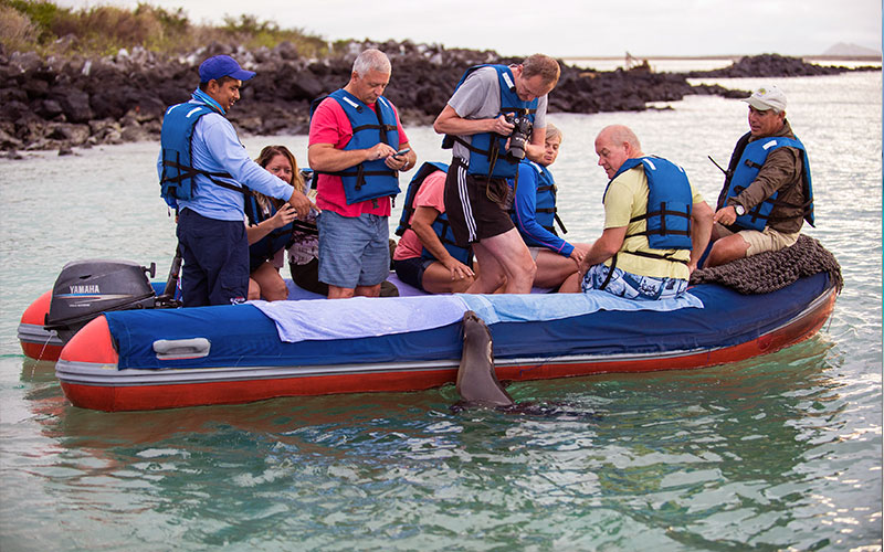 sealion pangha greeting cruise galapagos ecuador endemic vacation travel