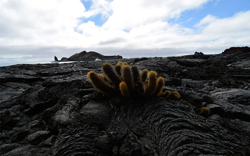 bartholomew bartolome galapagos volcanic formation how were geology