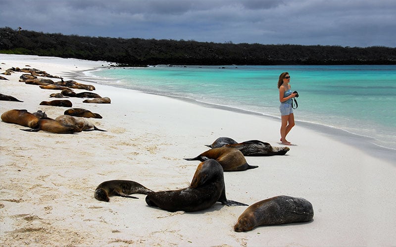 Best beaches in galapagos