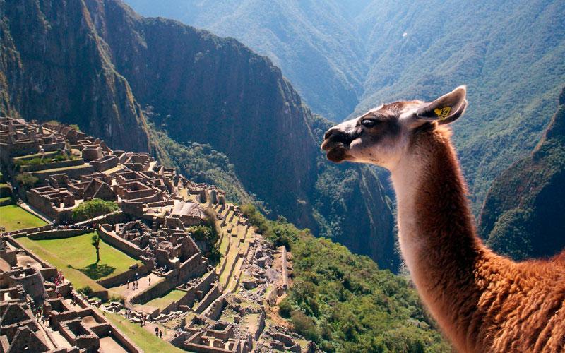 peru travel destination machu picchu galapagos ecuador